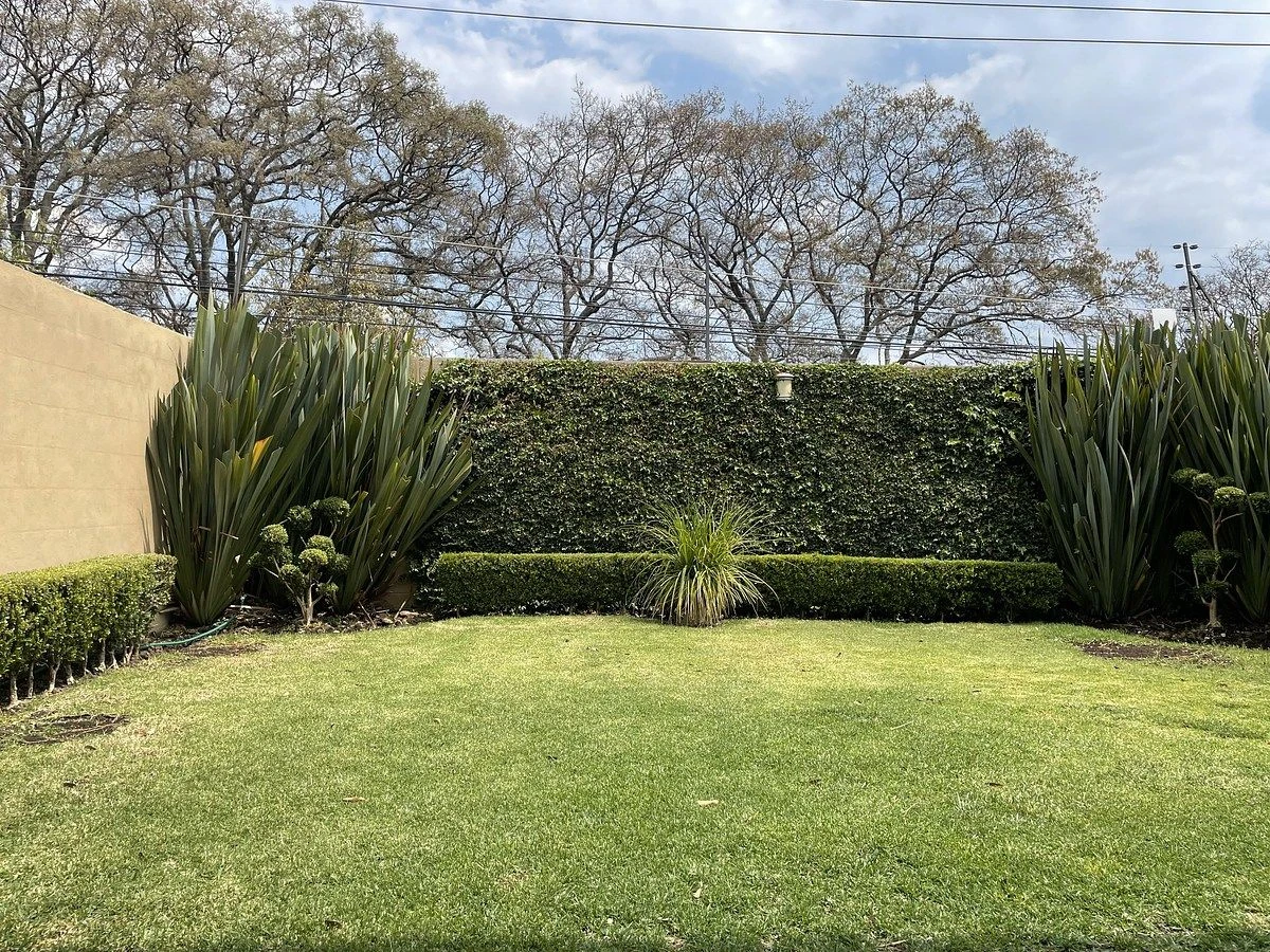 vista-bosques2165-53